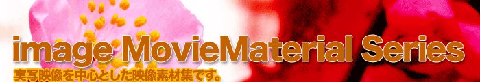 image MovieMaterial Series ʉf̉ffޏW